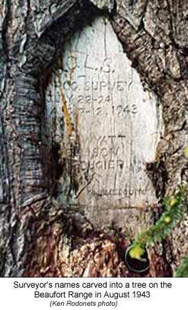 Surveyors names carved into a tree on the Beaufort Range 1943