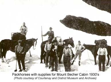 Packhorses with supplies for Mt. Becher cabin 1930's