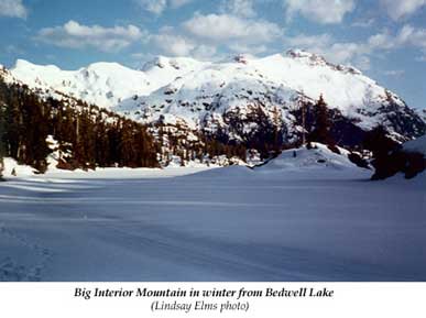 Big Interior Mountain in winter from Bedwell Lake