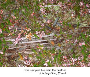 Core samples buried in heather