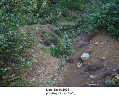Mine Site 2004