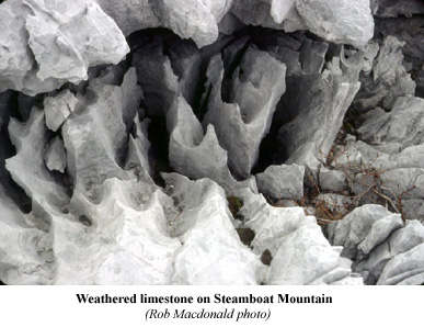 Weathered limestone on Steamboat Mountain