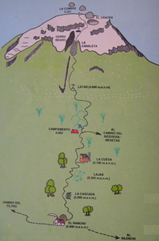 Tolima Map