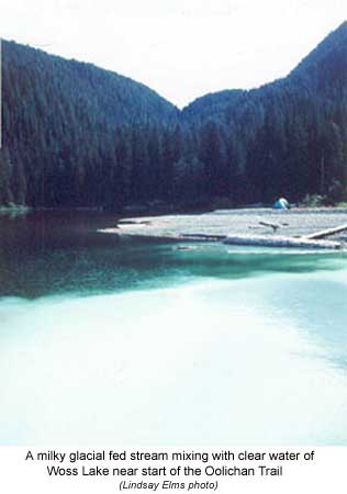 A milky glacial fed stream mixing with the clear water of Woss Lake