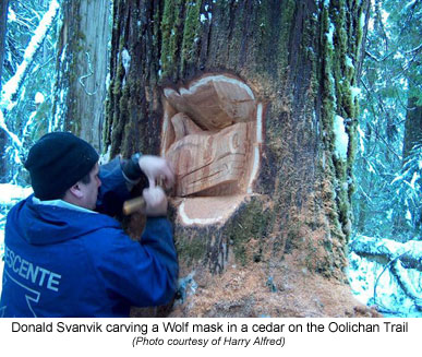 Donald Svanvik carving a Wolf mask in a cedar on the Oolichan Trail
