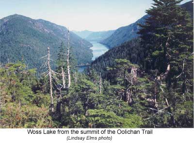 Woss Lake from the summit of the Oolichan Trail