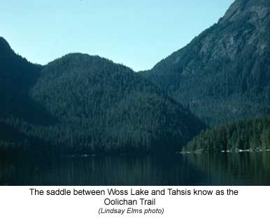Woss Lake Tahsis Saddle